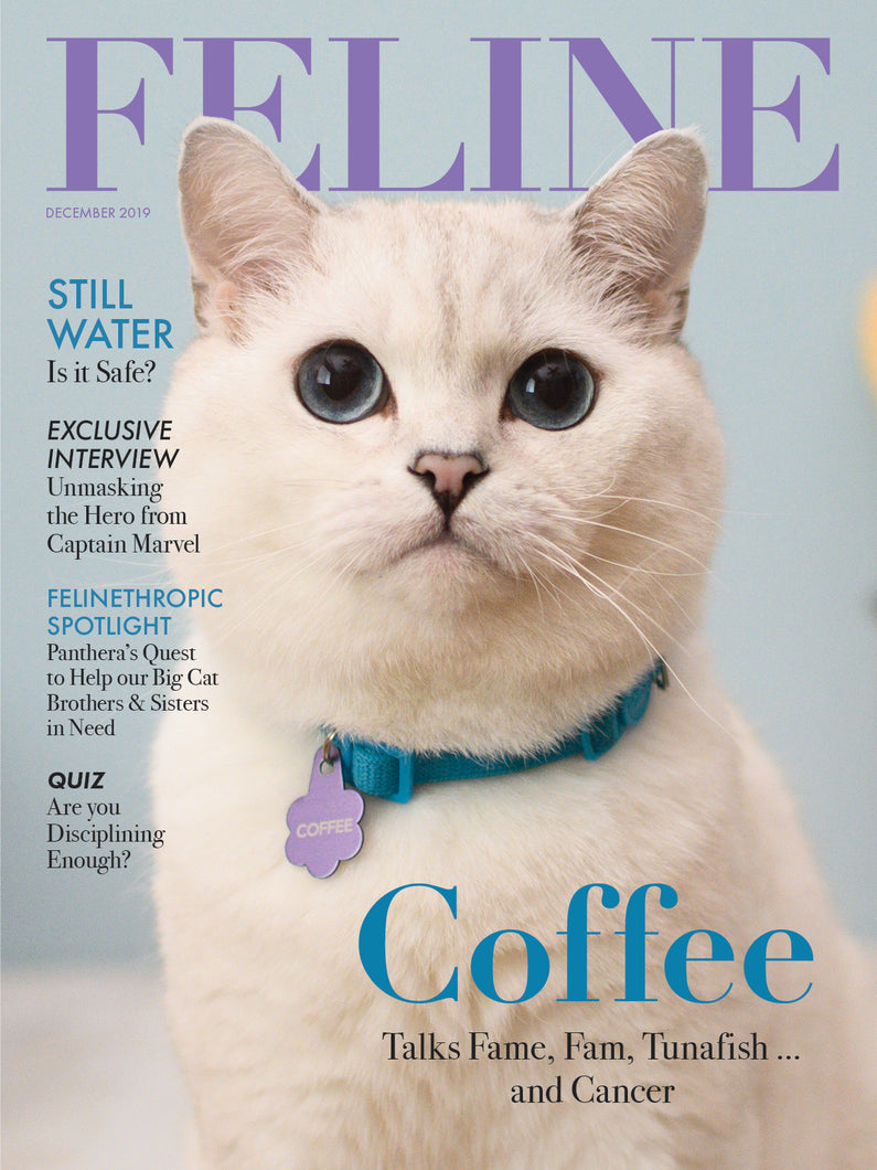 Feline Magazine Print